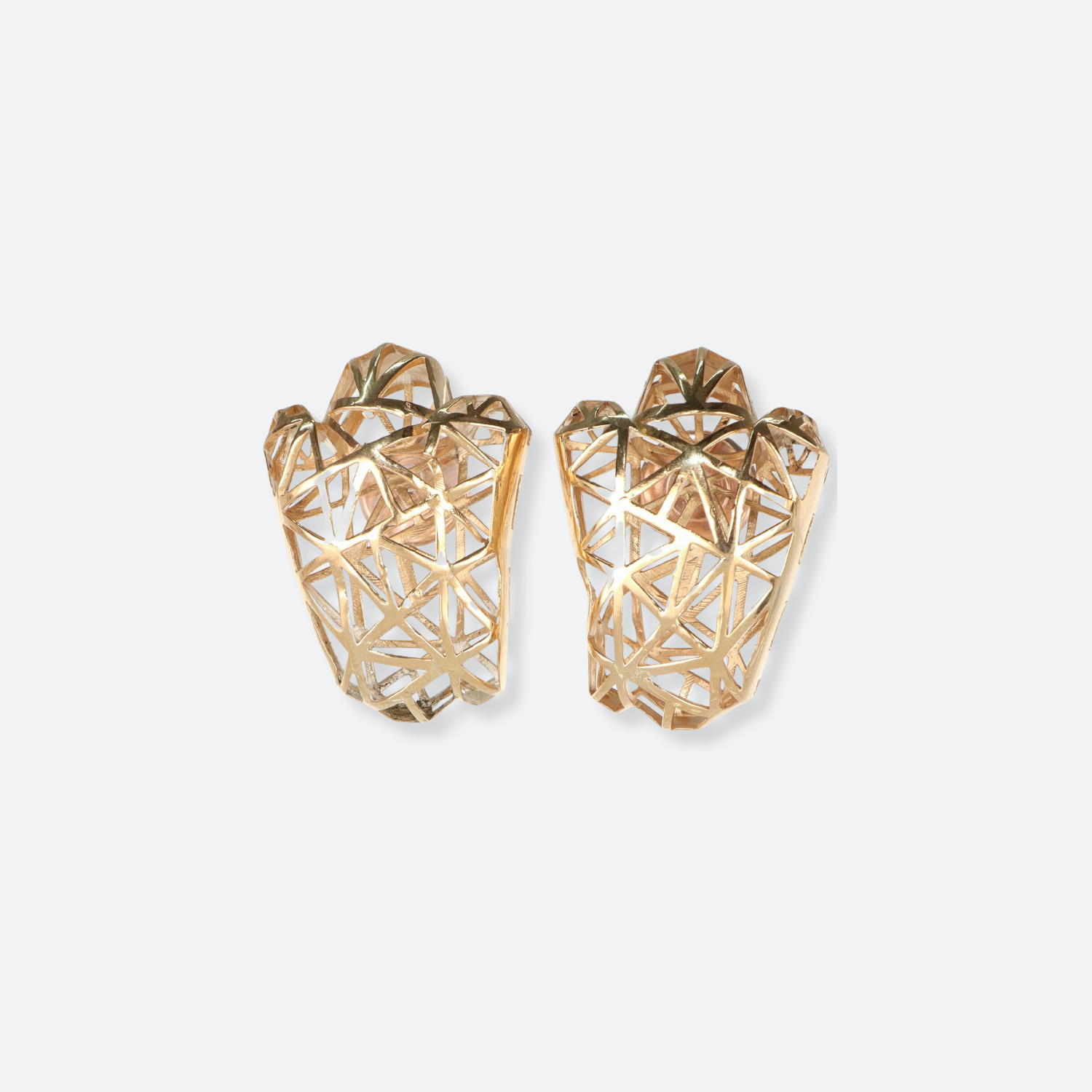 Lion's Paw - Earrings